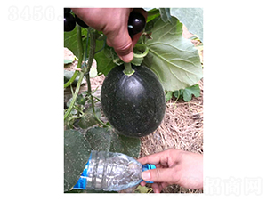 ����ī��-��ϷN��-��V�r(n��ng)�I(y��)