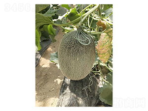 ����M1M6-��ϷN��-��V�r(n��ng)�I(y��)