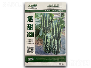 ����2030-��ϷN��-��V�r(n��ng)�I(y��)