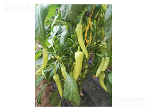 ��������-�����N��-��V�r(n��ng)�I(y��)