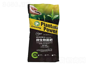 ΢�������-ؐ�Z