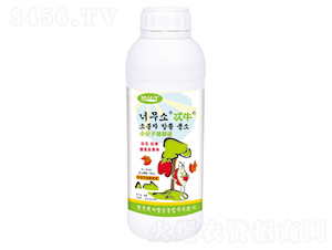 С�����Ǵ���-߯ţ-�A��