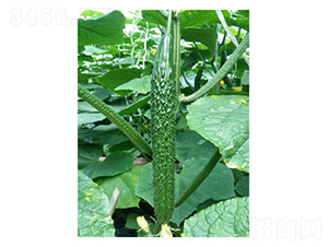 �Y�u����-�S�ϷN��-��V�r(n��ng)�I(y��)