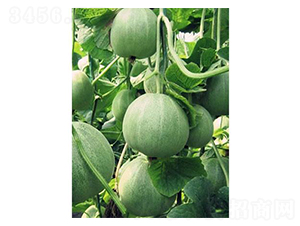 �G�����-��ϷN��-�֮���r(n��ng)�I(y��)