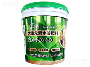 ����Ԫ��ˮ�ܷ���20-20-20-�p��-��Դ����