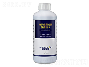 �ߝ�s����~�G���A-����������