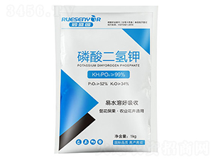 ��������-����������