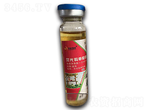 �ɹ�نΰ���-��(bi��o)��(chu��ng)��(gu��)�H