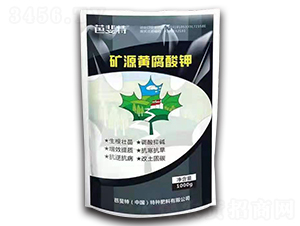 �VԴ�S�����-�����