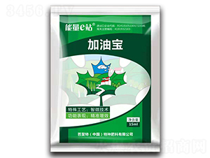 �r����Ч���F����-���͌�-�����