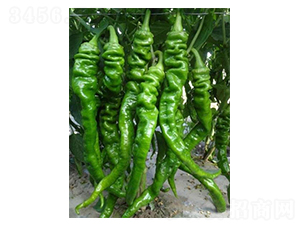 �ݽz���N��-��ϲ�r�I(y��)