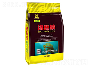 ���徫-����