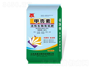 ���������ЙC��-�ך���-����