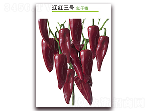 �|�t��̖-�t�ɽ��N��-������