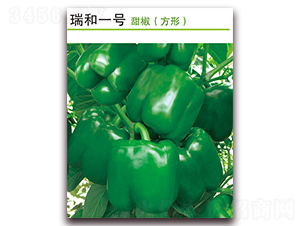 ���һ̖-�𽷷N��-������