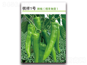 ����1̖-�����N��-������