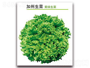 ��������-���˷N��-������