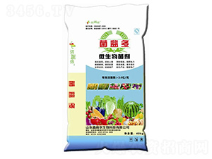 ΢�������-�����-���Ѓz