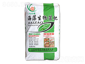 �����������-�عڸ�