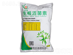 ���������-�عڸ�