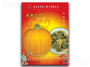 �o����̖-�ϹϷN��-�ֵ�