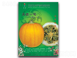 �o��һ̖-�ϹϷN��-�ֵ�