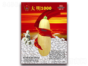 ����1000-���������J�N��-�ֵ�