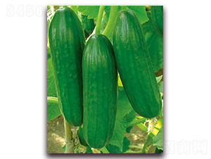 �M��709-�S�ϷN��-�M��N��