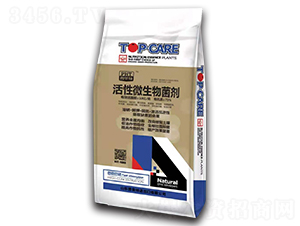 ����΢�������-������