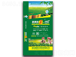 ��������~���÷�-����