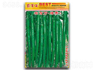 �r���f�G��-�����N��-�r���f