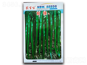 ǰ�hF1-�����N��-�r(n��ng)���f