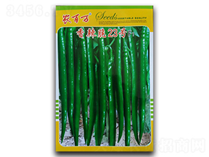 ������23̖(h��o)-�����N��-�r(n��ng)���f