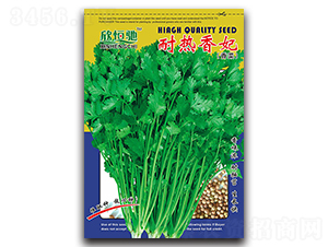 耐熱香妃-香菜種子-恒馳種業(yè)