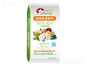 ��ጓ������19-11-18-�ӱ����R