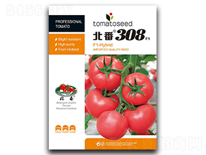 北番308-番茄種子-華豐種業(yè)
