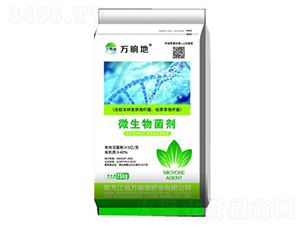 ΢�������-�f�ε�