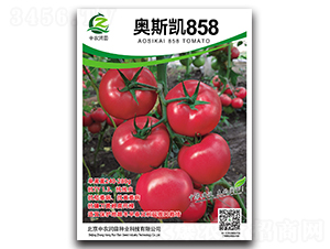 �W˹�P858-���ѷN��-���r(n��ng)����