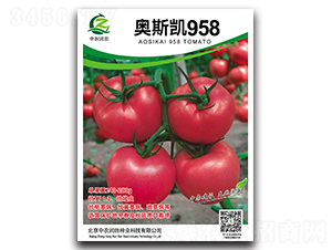 �W˹�P958-���ѷN��-���r(n��ng)����