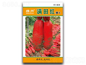 �M��t-�}���N��-�d�߷N�I(y��)