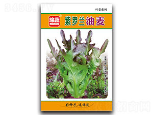 ���_�m����-�����˷N��-�d�߷N�I(y��)