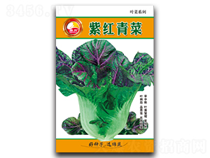 �ϼt���-��˷N��-�d�߷N�I(y��)