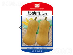 �����Ϲ�-�ϹϷN��-�d�߷N�I(y��)