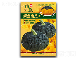 �{�~�Ϲ�-�ϹϷN��-�d�߷N�I(y��)