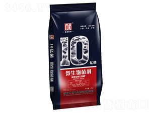 10�|������l(f��)�Ͷ�����-ɏ�����r(n��ng)