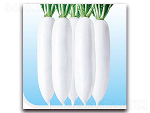 ������-�}���N��-��֮�W