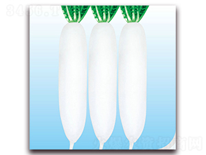 ����-�}���N��-��֮�W