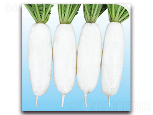 ����3̖-�}���N��-��֮�W