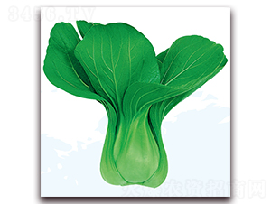 �۹�1̖-�ײ˷N��-��֮�W