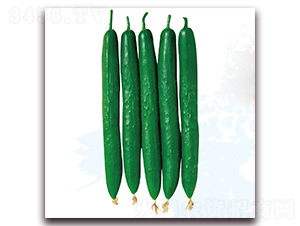 ���۹�(ji��)��1̖-�S�ϷN��-��֮�W